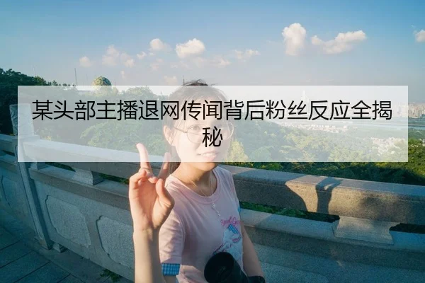 某头部主播退网传闻背后粉丝反应全揭秘