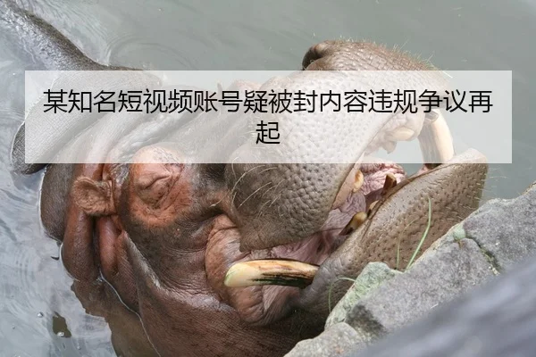 某知名短视频账号疑被封内容违规争议再起